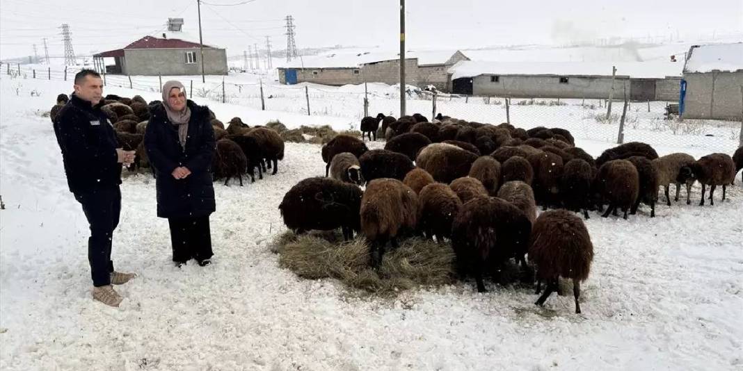 Devlet destekliyor sayıları artıyor! 3 yılda 99 binden 150 bine çıkan artış: Kırsalda kadın üreticiler de güçleniyor 3